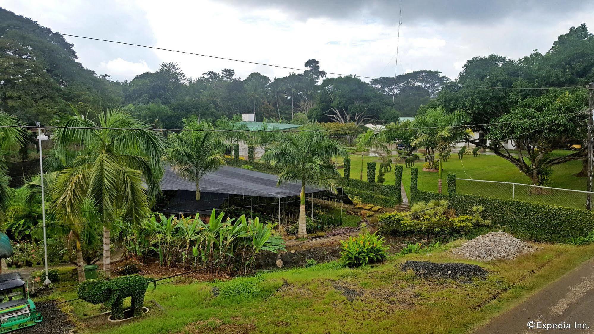 Jilian Tourist Inn Puerto Princesa Luaran gambar